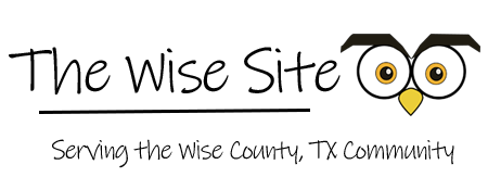 The Wise Site